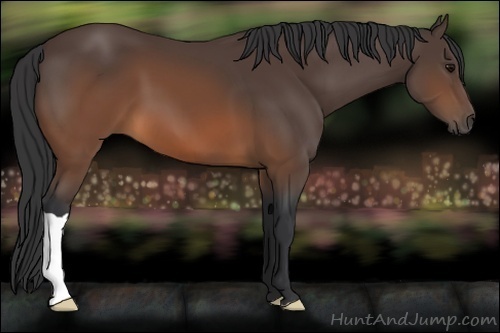Horse Color:Brown 