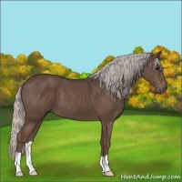 Horse Color:Silver Black 