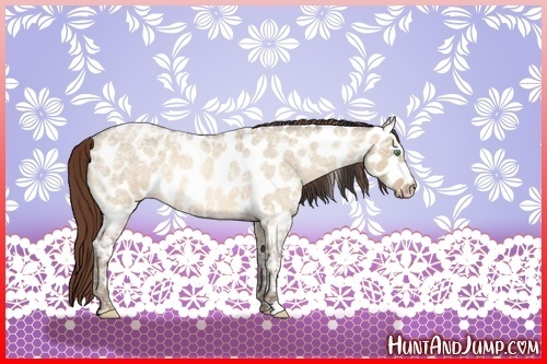 Horse Color:Sable Champagne Ice Roan Dun Near Leopard Rabicano 