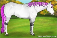 Horse Color:Painted White Spotted Silver Bay Chinchilla Dun Splash 