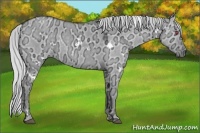 Horse Color:White Spotted Silver Grullo Chinchilla Ice 