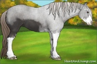 Horse Color:Liver Red Roan Sabino