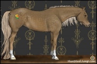 Horse Color:Chocolate Palomino 