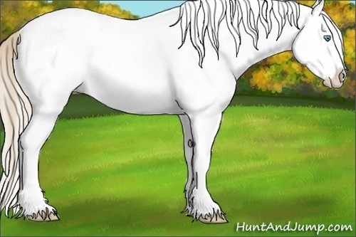 Horse Color:White Spotted Smoky Creme Splash