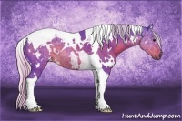 Horse Color:Watercolor White Spotted Silver Brown Tobiano 
