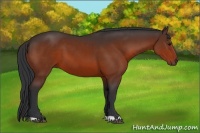 Horse Color:Brown 