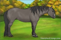 Horse Color:Smoky Grullo Sabino 