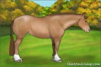 Horse Color:Brown Pearl