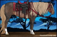 Horse Color:Liver Chestnut Rabicano 