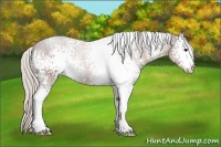 Horse Color:White Spotted Silver Brown