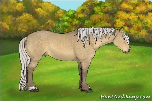 Horse Color:Silver Buckskin Dun Sabino 
