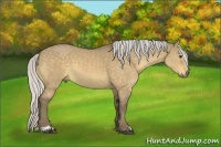Horse Color:Silver Buckskin Dun Sabino