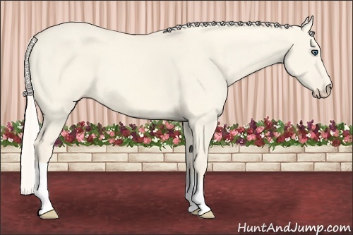 Horse Color:Cremello Dun 