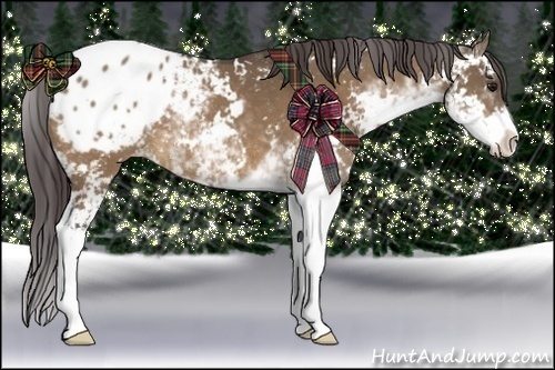 Horse Color:Brown Dun Sabino Appaloosa 
