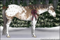 Horse Color:Brown Dun Sabino Blanket