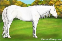 Horse Color:Perlino Dun Tobiano Frame Rabicano