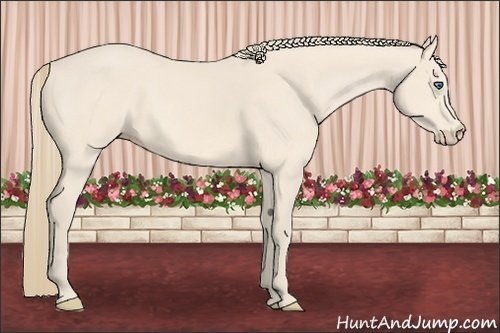Horse Color:Perlino 