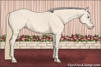 Horse Color:Perlino 