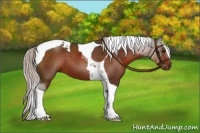 Horse Color:Silver Brown Tobiano 