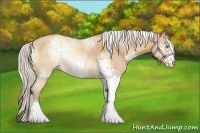 Horse Color:White Spotted Silver Sable Champagne