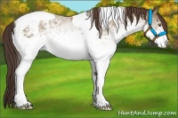 Horse Color:White Spotted Classic Champagne Tobiano Appaloosa 