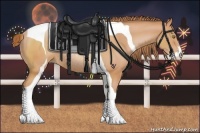 Horse Color:Bay Pearl Sabino Tobiano Rabicano 