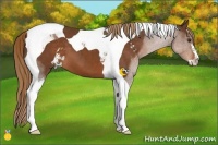 Horse Color:Liver Chestnut Sabino Tobiano 