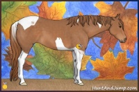 Horse Color:Chestnut Sabino Tobiano