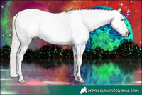 Horse Color:White Spotted Perlino Dun Splash Frame