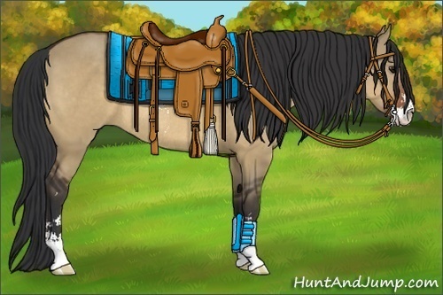 Horse Color:Brown Dun Sabino Rabicano