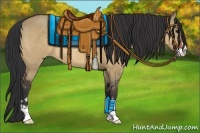 Horse Color:Brown Dun Sabino Rabicano