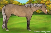 Horse Color:Silver Brown Dun