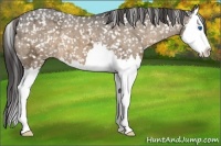 Horse Color:Brown Ice Dun Splash Snowflake Varnish
