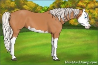 Horse Color:Silver Bay Splash
