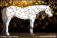 Horse Color:Buckskin Roan Appaloosa Rabicano 