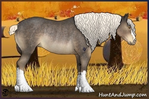 Horse Color:Liver Chestnut Rabicano