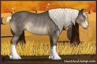 Horse Color:Liver Chestnut Rabicano