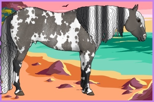 Horse Color:White Spotted Grullo Rabicano