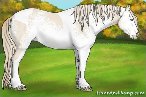 Horse Color:White Spotted Perlino Tobiano 