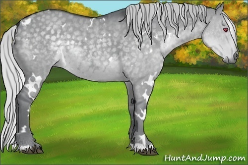 Horse Color:White Spotted Silver Grullo Chinchilla 