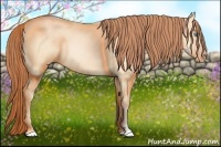 Horse Color:Buckskin Pearl Dun 