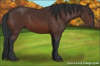 Horse Color:Brown 