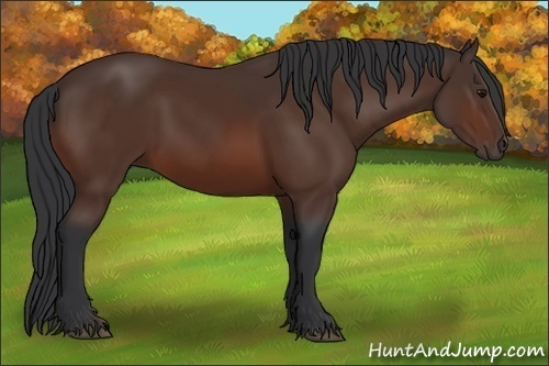 Horse Color:Brown 