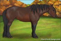 Horse Color:Brown 