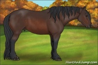 Horse Color:Brown 
