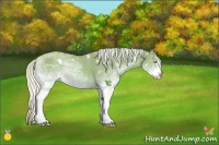 Horse Color:White Spotted Silver Classic Champagne 