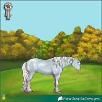 Horse Color:White Spotted Silver Perlino Dun 