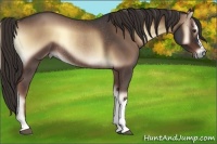 Horse Color:Liver Red Onyx Roan Rabicano