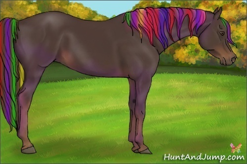 Horse Color:Painted Liver Chestnut 