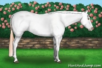 Horse Color:Bay Roan Pearl Splash Frame Appaloosa